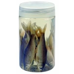 [ 0 ] ALBATROS AASVISJES ROACHES -Vissen Apparatuur Winkel albatros aasvisjes roaches 2