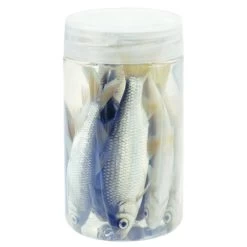 [ 0 ] ALBATROS AASVISJES ROACHES -Vissen Apparatuur Winkel albatros aasvisjes roaches 3