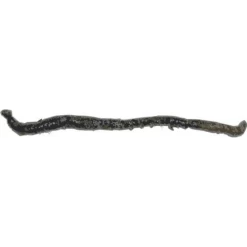 [ 3 ] FRANSE TAPPEN P/10