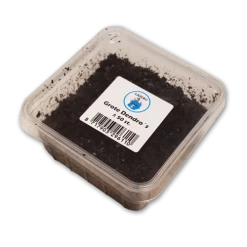 [ 11 ] LASEBO WORMEN DENDROBAENA'S -Vissen Apparatuur Winkel lasebo wormen dendrobaenas 1