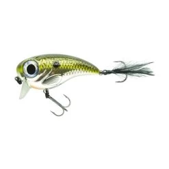 [ 11 ] SPRO FAT IRIS 8 CM SLOW FLOATING 40 GRAM -Vissen Apparatuur Winkel spro fat iris 8 cm slow floating 40 gram 5